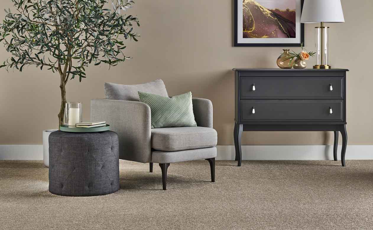 beige carpet in living area